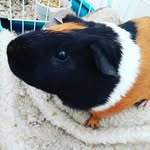 jack holmstrom - @my_boy_little_jack - Instagram