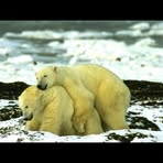 Jack Holmstrom - Facebook