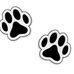 Jack Russell Terriers Seeking Homes - Facebook