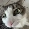 Jack Honaker - @j.2077 - TikTok