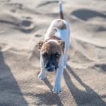 @jack_hooey - Instagram
