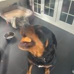 Jack Hook - @jackhook38 - Instagram