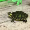 jackhooperrrr - @jackhooperrrr - TikTok