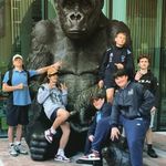 jack_hoops - @jack_hoops1 - Instagram