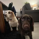 Jack Hopper - @jack.hopper33 - Instagram