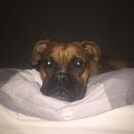 Jack Hopper - @hopperj2121 - Instagram