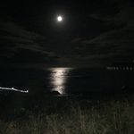 Jack Hopper - @jack_r_hopper - Instagram