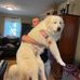 Jack Hopper - Facebook