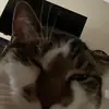 Jack H - @jack.horan - TikTok