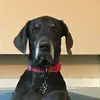 Jack Horan - @jack.horan2 - TikTok