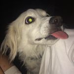 Jack Hornaday - @jack.hornaday - Instagram