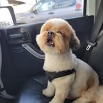 Jack Horrobin - @jachorrobin - Instagram