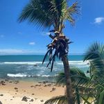 Hostel Casa De Jack - @hostelcasadejack - Instagram