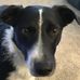 Jack Hostetler - Facebook