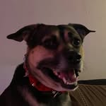 Jake Hostetler - @jake.hostetler.98 - Instagram