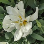 Karen L. Hostetler Jack - @karenhostetlerjack - Instagram