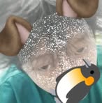 Jack Hack - Facebook