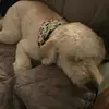 jackhourihan558 - @jackhourihan558 - TikTok