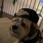 Jack - @jack_houseman23 - Instagram