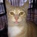 Jack Hausman - Facebook