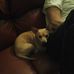Jack Howley - Facebook