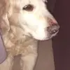 Jack Hoyle - @jack.hoyle3 - TikTok