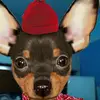 JackHardy - @jackhrady686 - TikTok