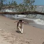 Jackie Huebner - @huebnerjackie - Instagram