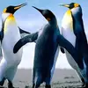 jack hugo - @jack.hugo6 - TikTok