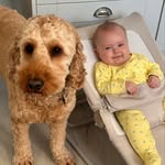 Jack, Natalie, Pippa, and Hugo - @pipandhugoadventures - Instagram