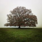 Jack Hulme - @jack_hoomm - Instagram