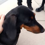 Jack Hulme - @jack.hulme.9843 - Instagram