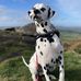 Jack Hulse - Facebook