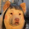Jacka - @jack0human - TikTok