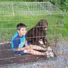 jake hummel - @jake.hummel - TikTok