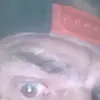 Jack Howell - @jackcatonhowellhuskey - TikTok