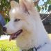 Jack Huskey - Facebook