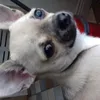 JackHussey - @jackhuskey - TikTok