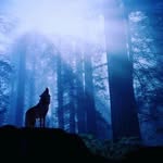 Jack Huxtable - @sprat007 - Instagram