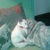 Jackie Huxtable - Facebook