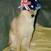 anti_vax dad369 - @jack.hyson45 - TikTok