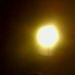 Jack Iannello - @_jack.i_ - Instagram