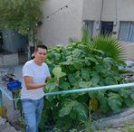 Jack Ibarra - Facebook