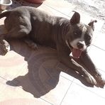 Jack Ibarra - Facebook