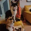 jackieiddon - @jackieiddon - TikTok