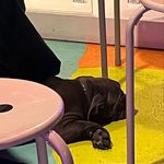 Saves energy🦦 - @jackimmelloww - Instagram