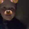 Jack Innes - @jack.innes - TikTok