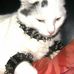 Jack Inoff - Facebook