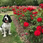 jack irvine - @jack_irvine2 - Instagram