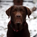 Jack - @jack.islandmountain - Instagram